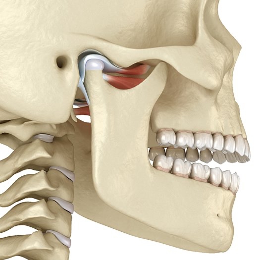 X-Ray of jaw and skull bone diagnosing need for T M J therapy